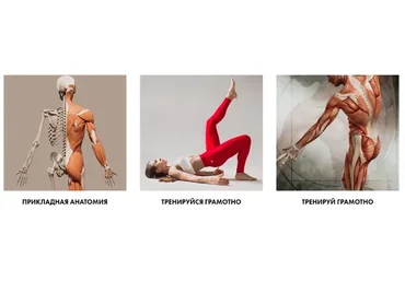 Специалист по движению. Тело человека 6.0, пакет «1+2+3 модуль» (Христина Жарикова)