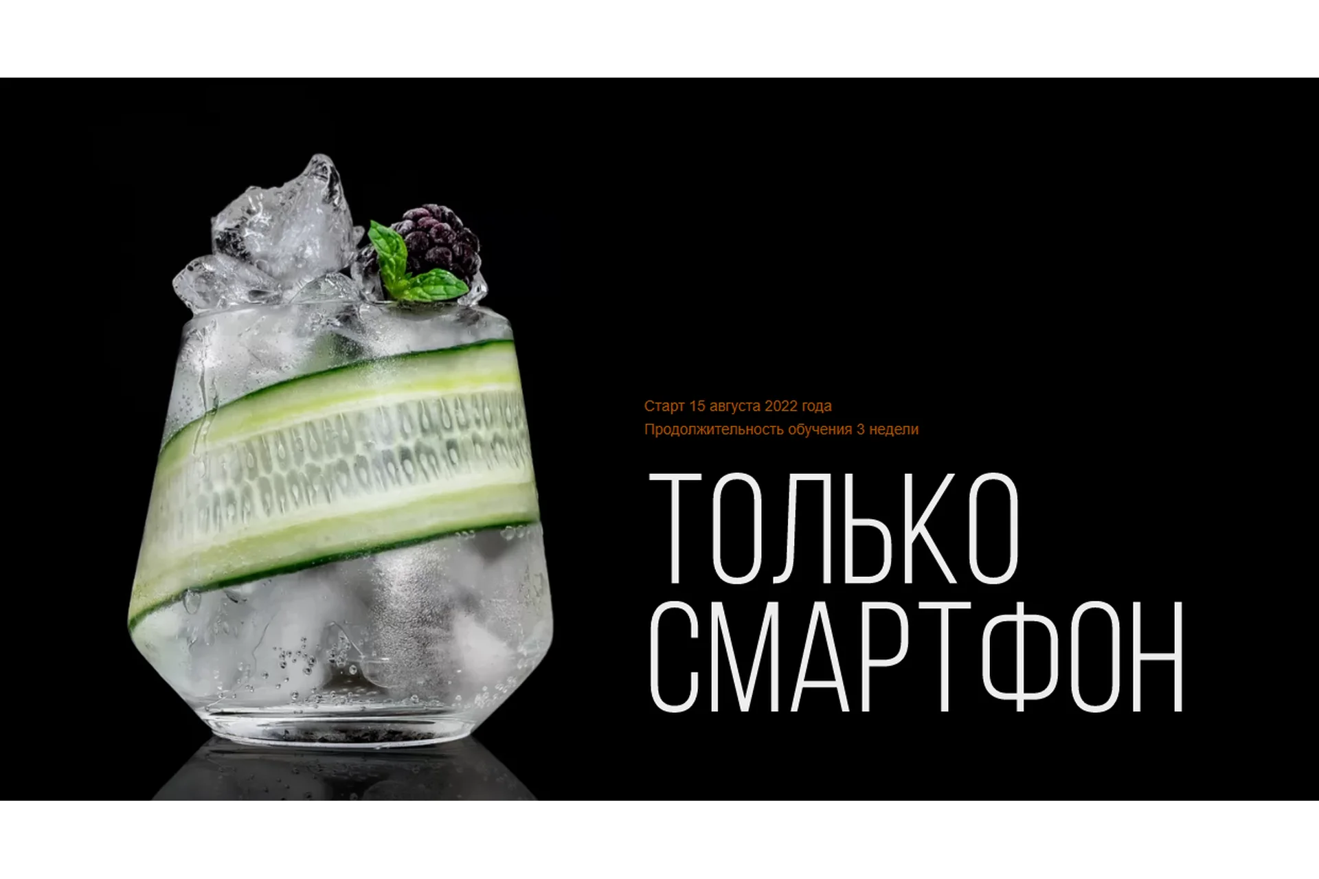 Только Смартфон. Тариф «Стандарт» (Анастасия Максимова), фото 1 из 1.