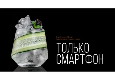 Только Смартфон. Тариф «Стандарт» (Анастасия Максимова)