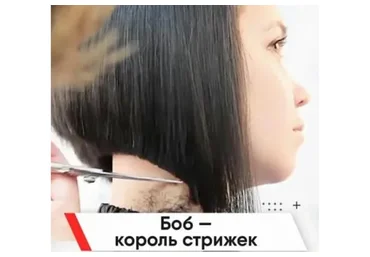 Боб - король стрижек (Артем Любимов)