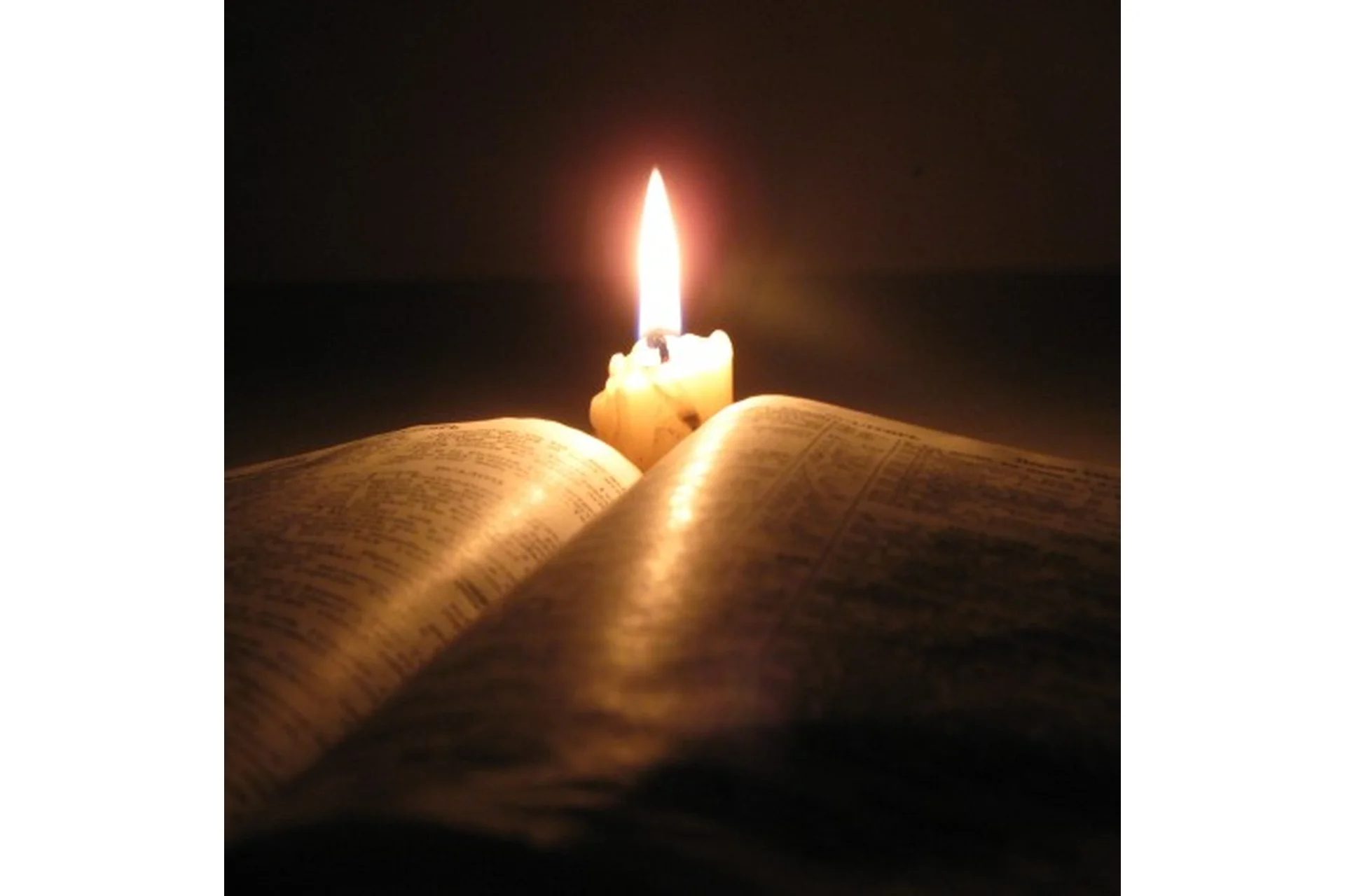 Магический семинар (Анна Гак), фото 1 из 1.