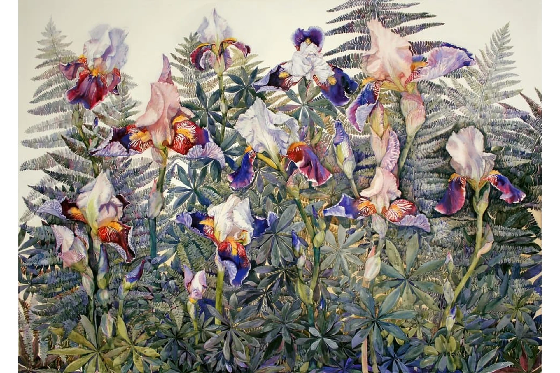 Ботаническая акварель (Людмила Лунц), фото 1 из 1.