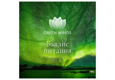 Нейромедитация Green minds «Баланс питания» (Алексей Ситников)