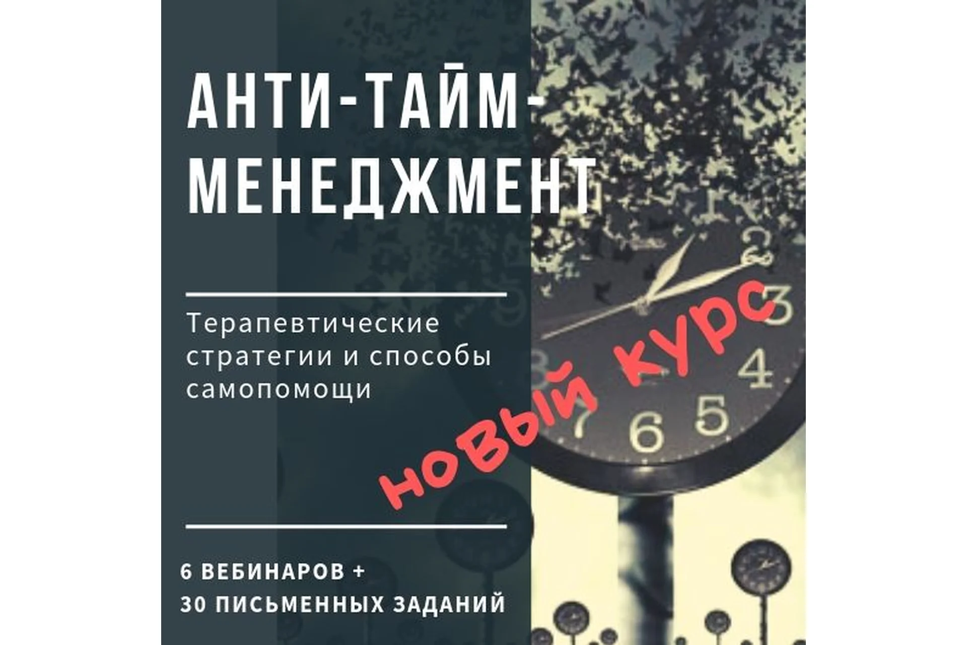 Анти-тайм-менеджмент (Ирина Камаева), фото 1 из 1.