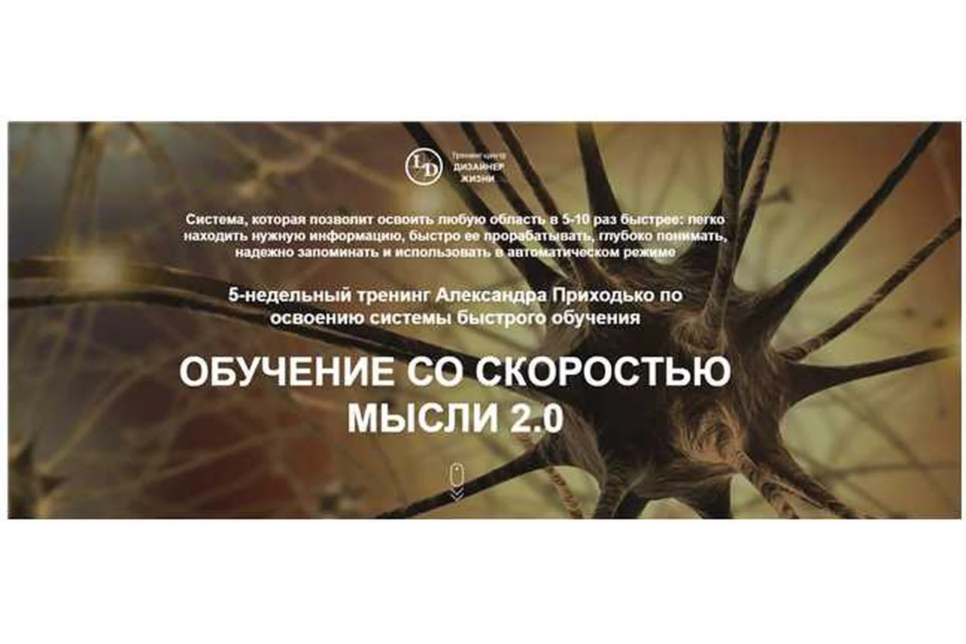 [Дизайнер жизни] Обучение со скоростью мысли 2.0., 2019. Пакет «Silver» (Александр Приходько), фото 1 из 1.