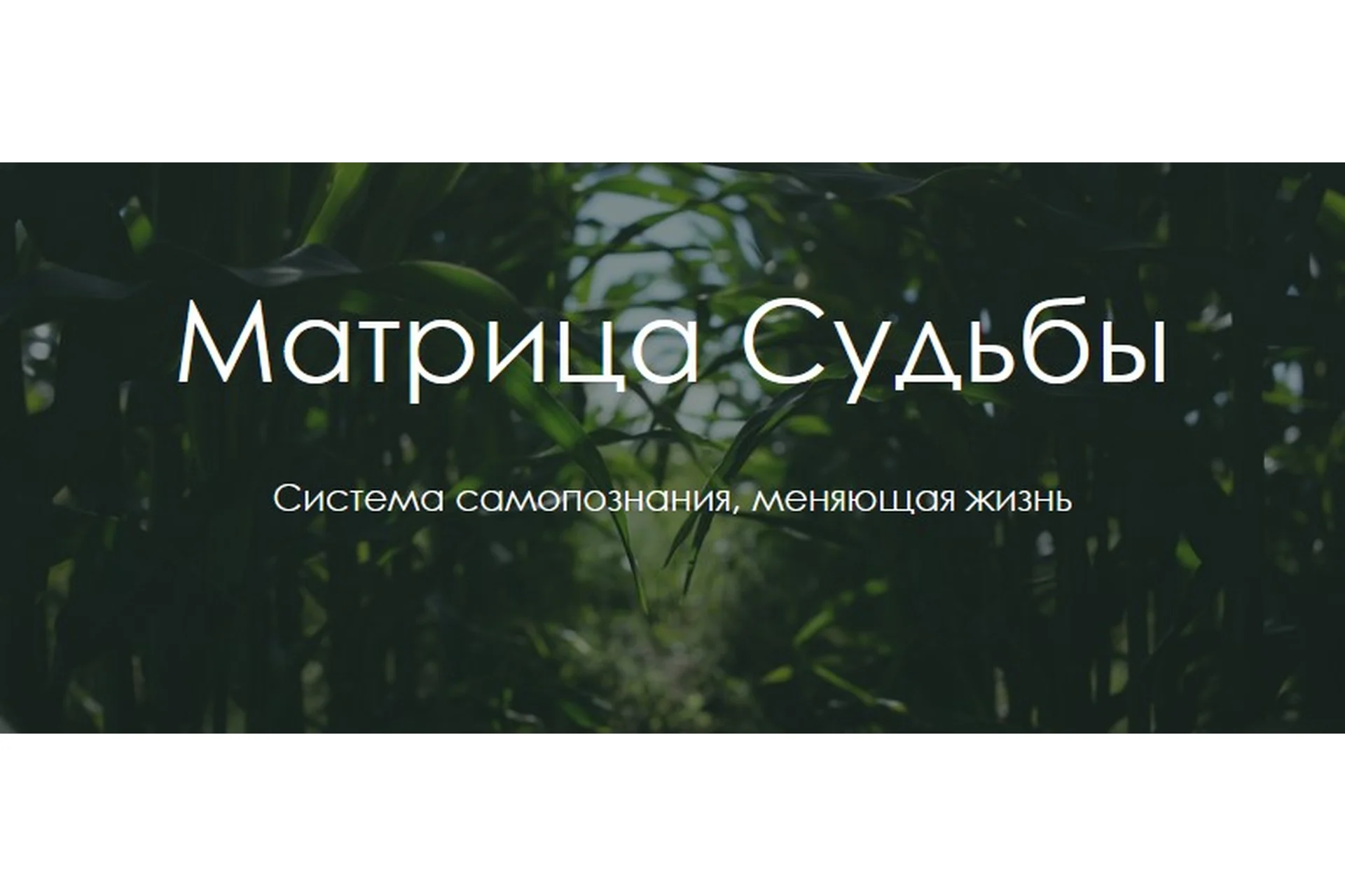 Матрица судьбы (Юлия Богацкая), фото 1 из 1.