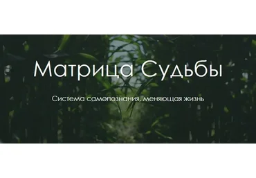 Матрица судьбы (Юлия Богацкая)