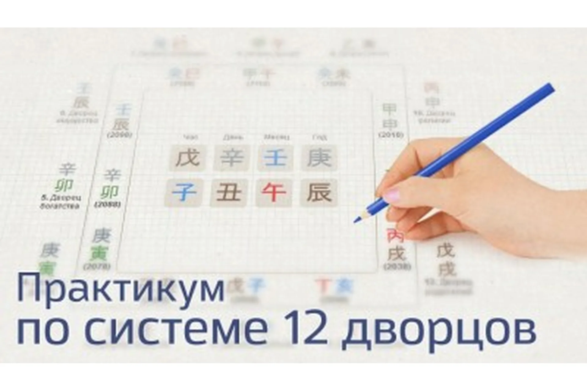 Практикум по системе 12 дворцов (Анна Зайцева), фото 1 из 1.