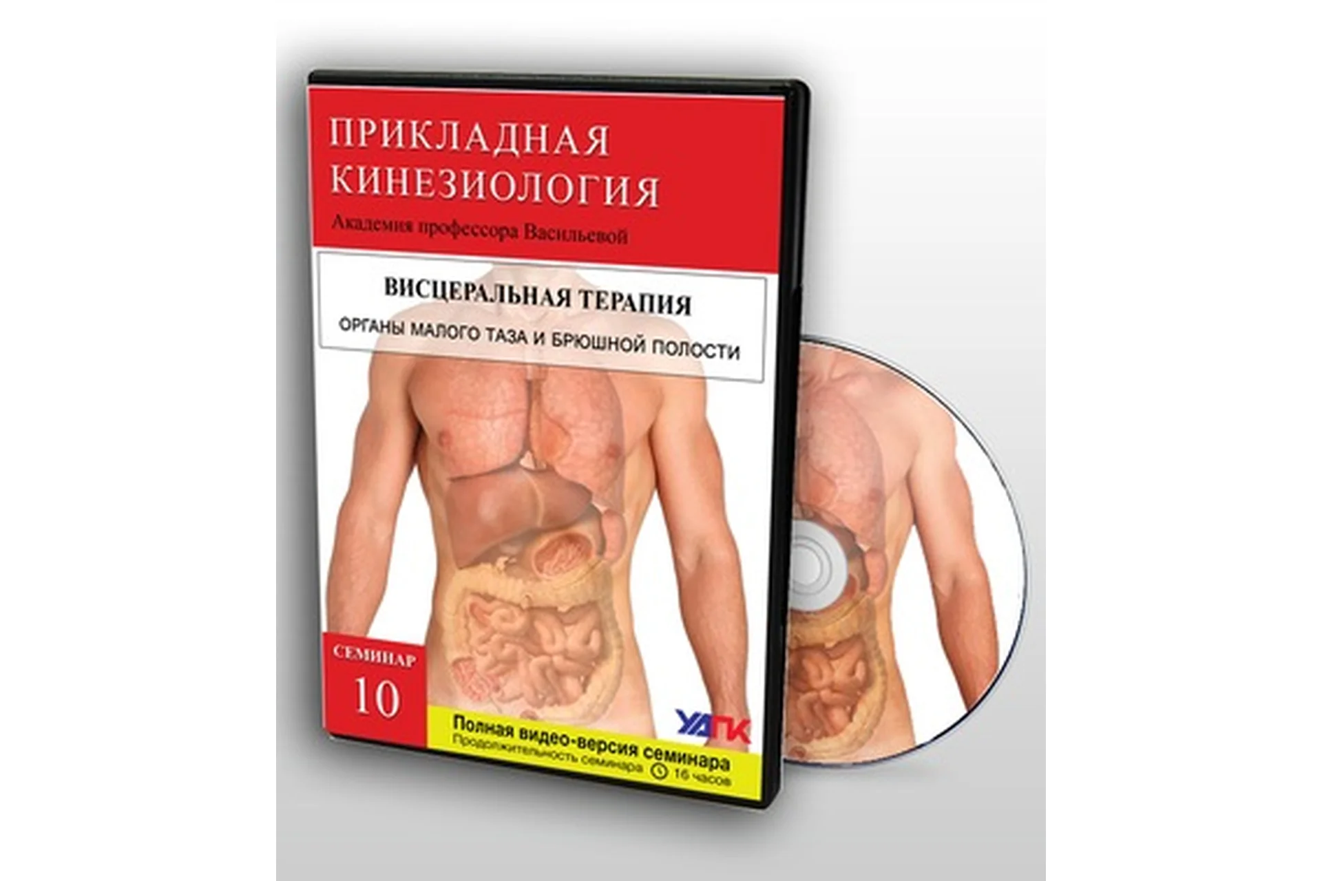 [УАПК] Висцеральная терапия органов брюшной полости и малого таза (Михаил Савиных), фото 1 из 1.