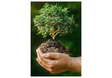 Кармическое освобождение Рода. Тариф «VIP» (Татьяна Мальцева)