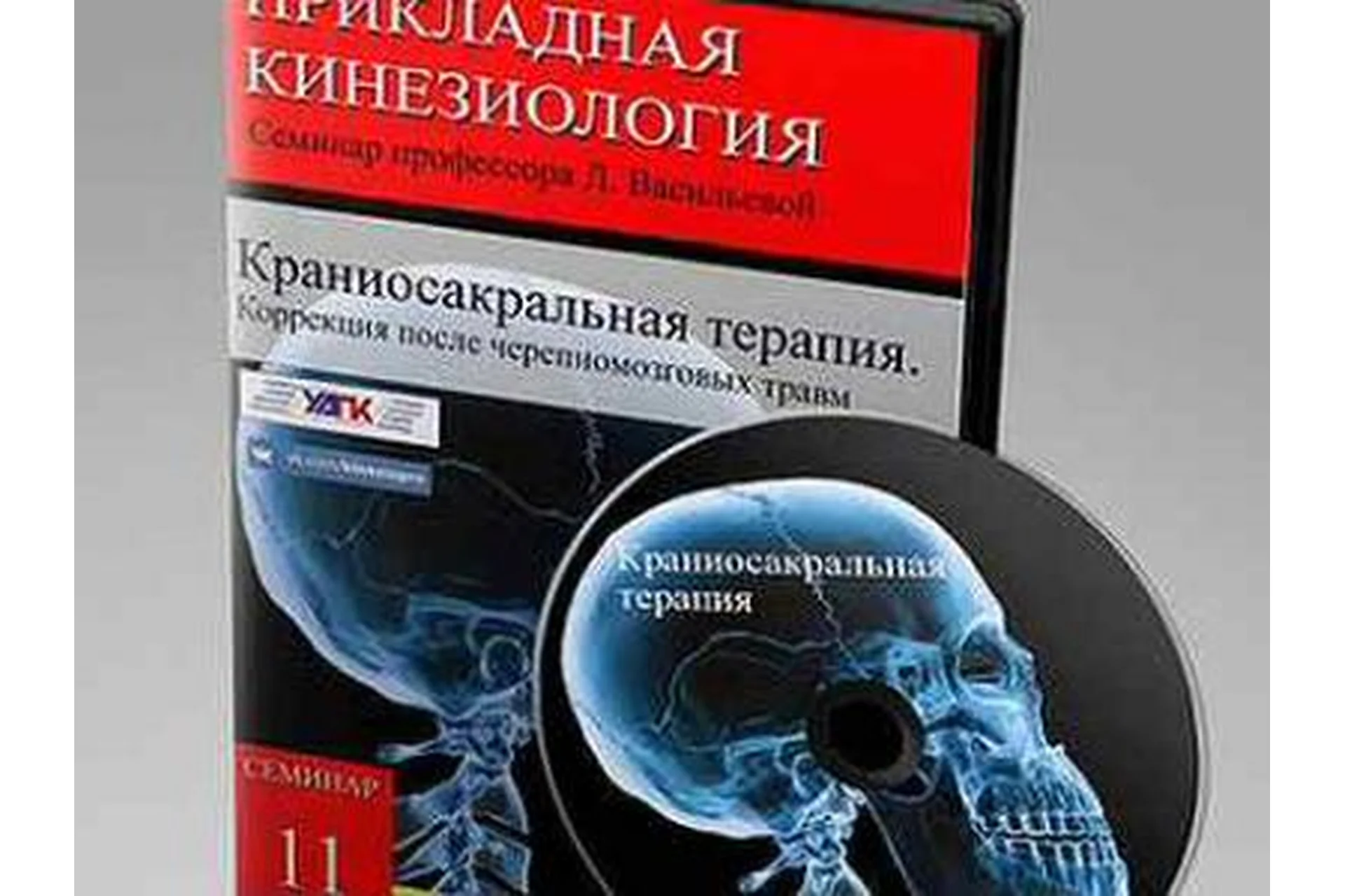 [УАПК] Краниосакральная терапия. Коррекция после черепно-мозговых травм  (Людмила Васильева), фото 1 из 1.
