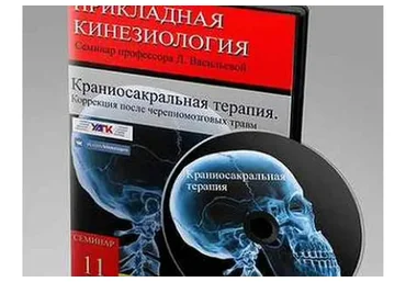 [УАПК] Краниосакральная терапия. Коррекция после черепно-мозговых травм  (Людмила Васильева)