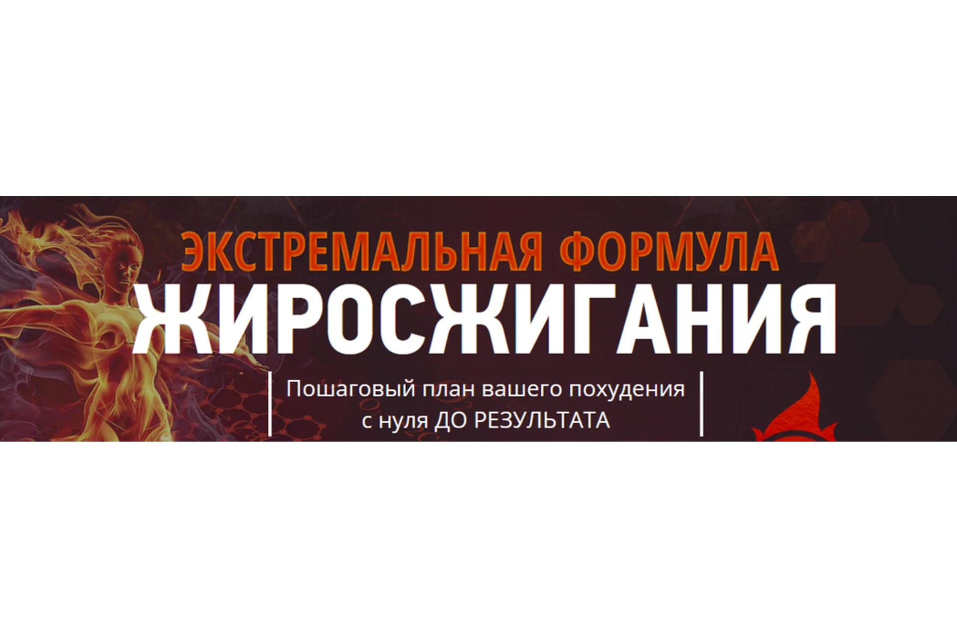 Экстремальная формула жиросжигания, 2014 (Ярослав Брин), фото 1 из 1.