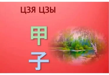 Справочник 60 Цзя Цзы (Юлия Бальсина)