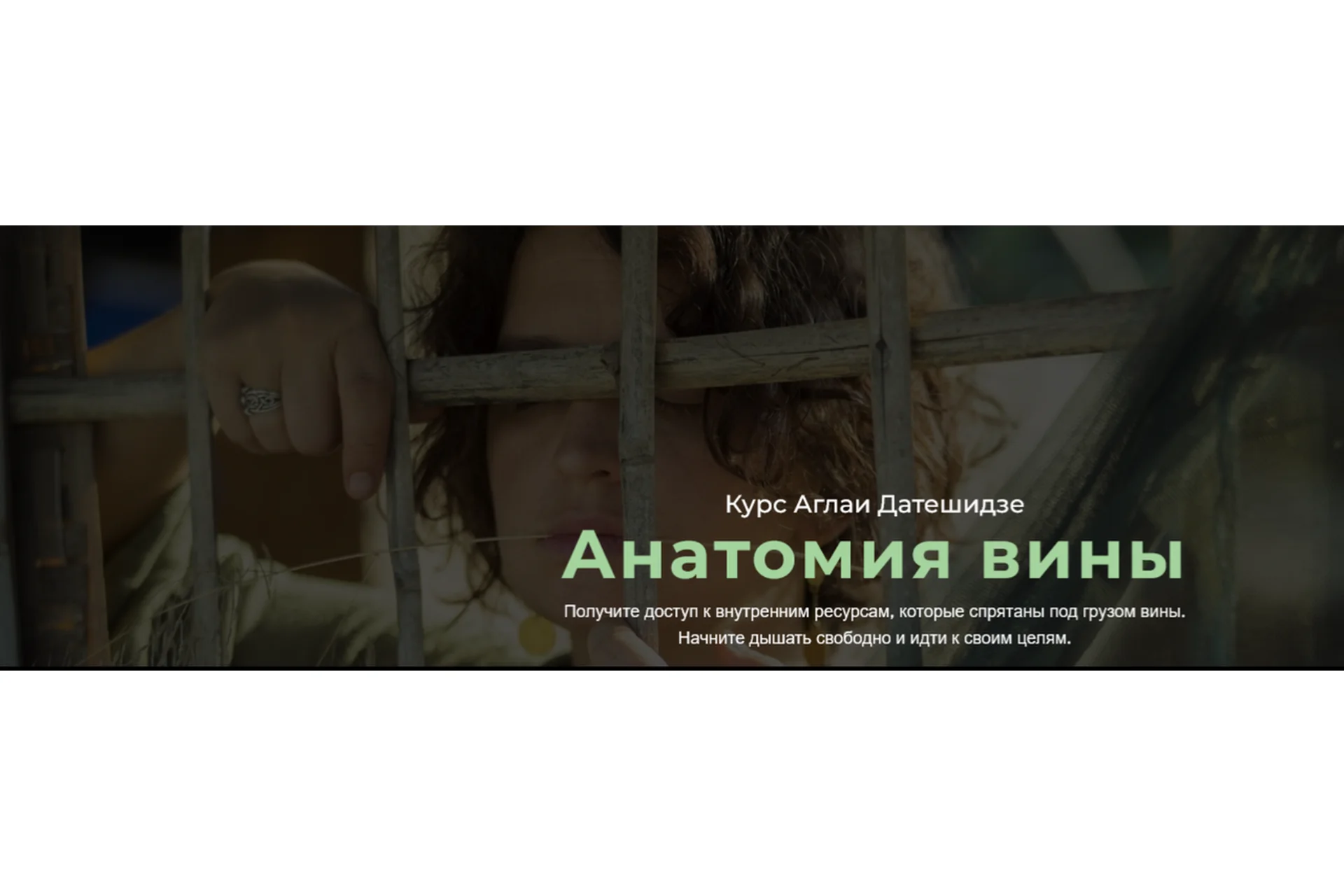 Анатомия вины, 5 занятий (Аглая Датешидзе), фото 1 из 1.