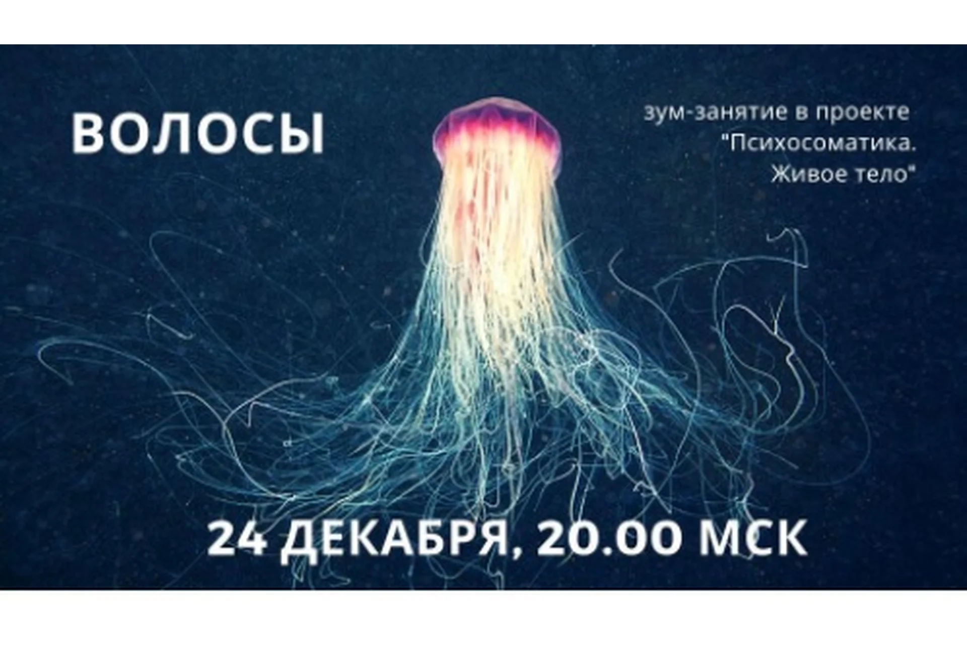 Психосоматика. Живое тело. Волосы (Ирина Казанская), фото 1 из 1.