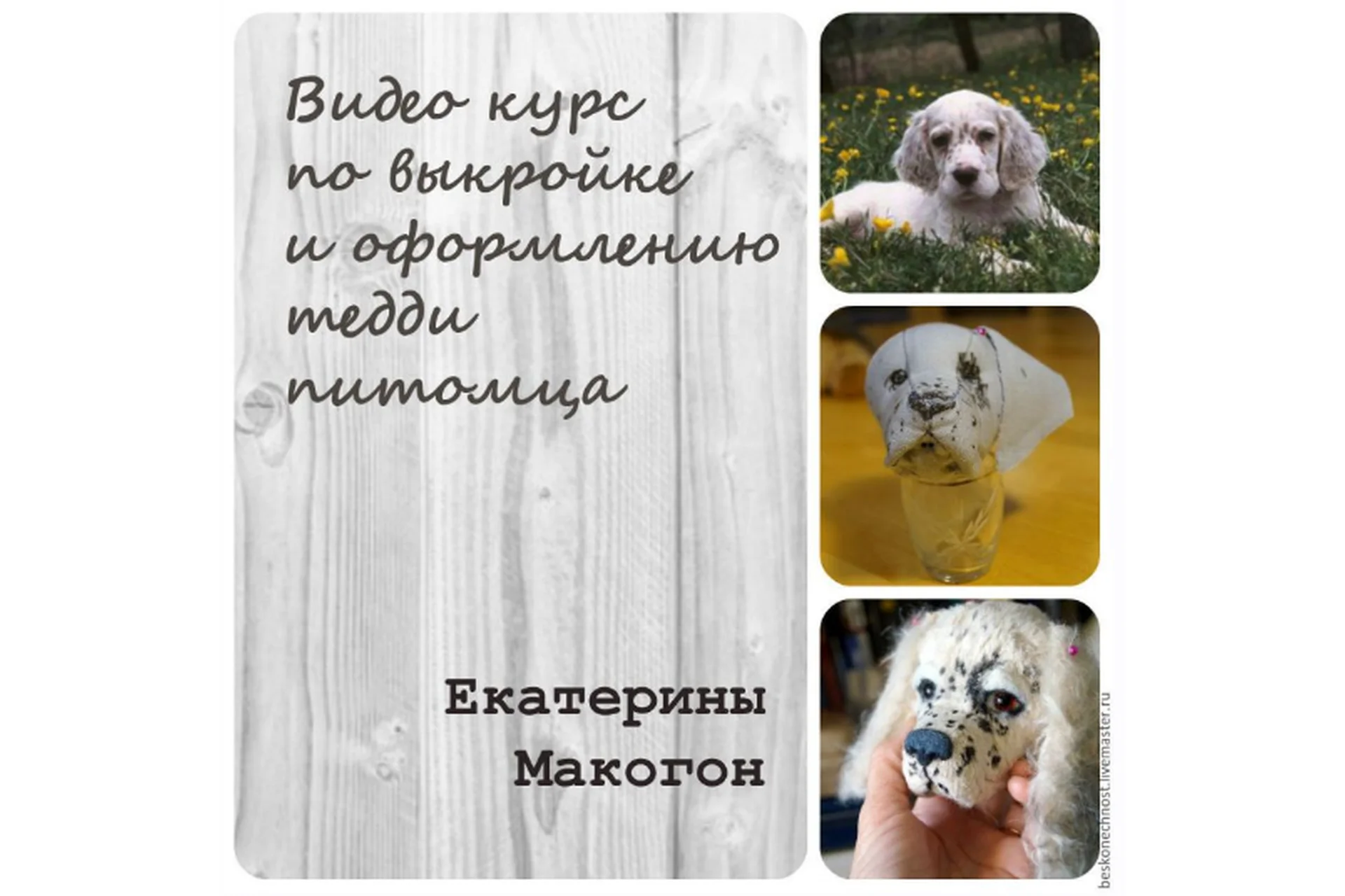 Выкройка и оформление тедди питомца (Екатерина Макогон), фото 1 из 1.