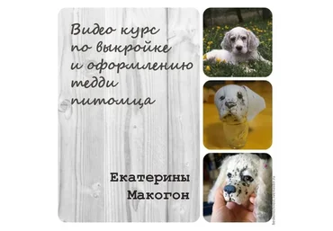 Выкройка и оформление тедди питомца (Екатерина Макогон)