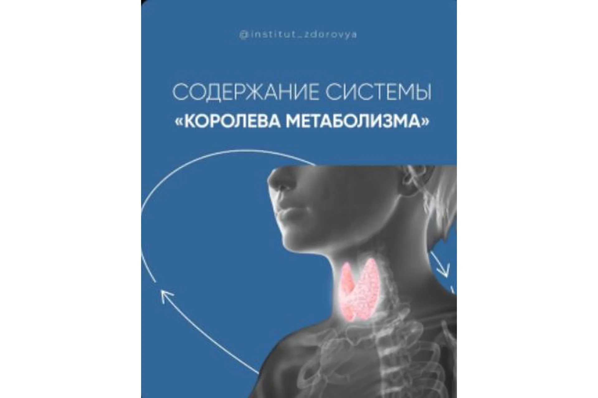 [institut_zdorovya] Королева метаболизма. Тариф Самостоятельный (Мария Волкова), фото 1 из 1.