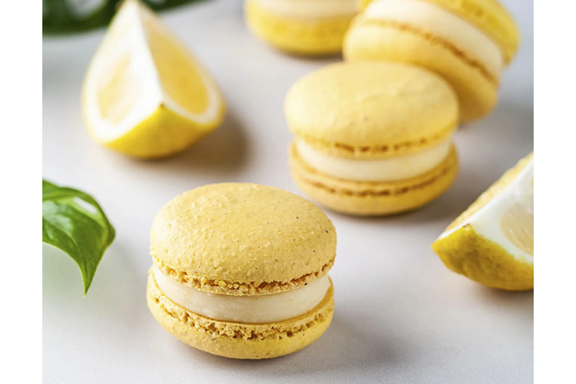 [veryirresistible18] Летние начинки для макарон, 2022 (Анна Томильчик), фото 1 из 1.