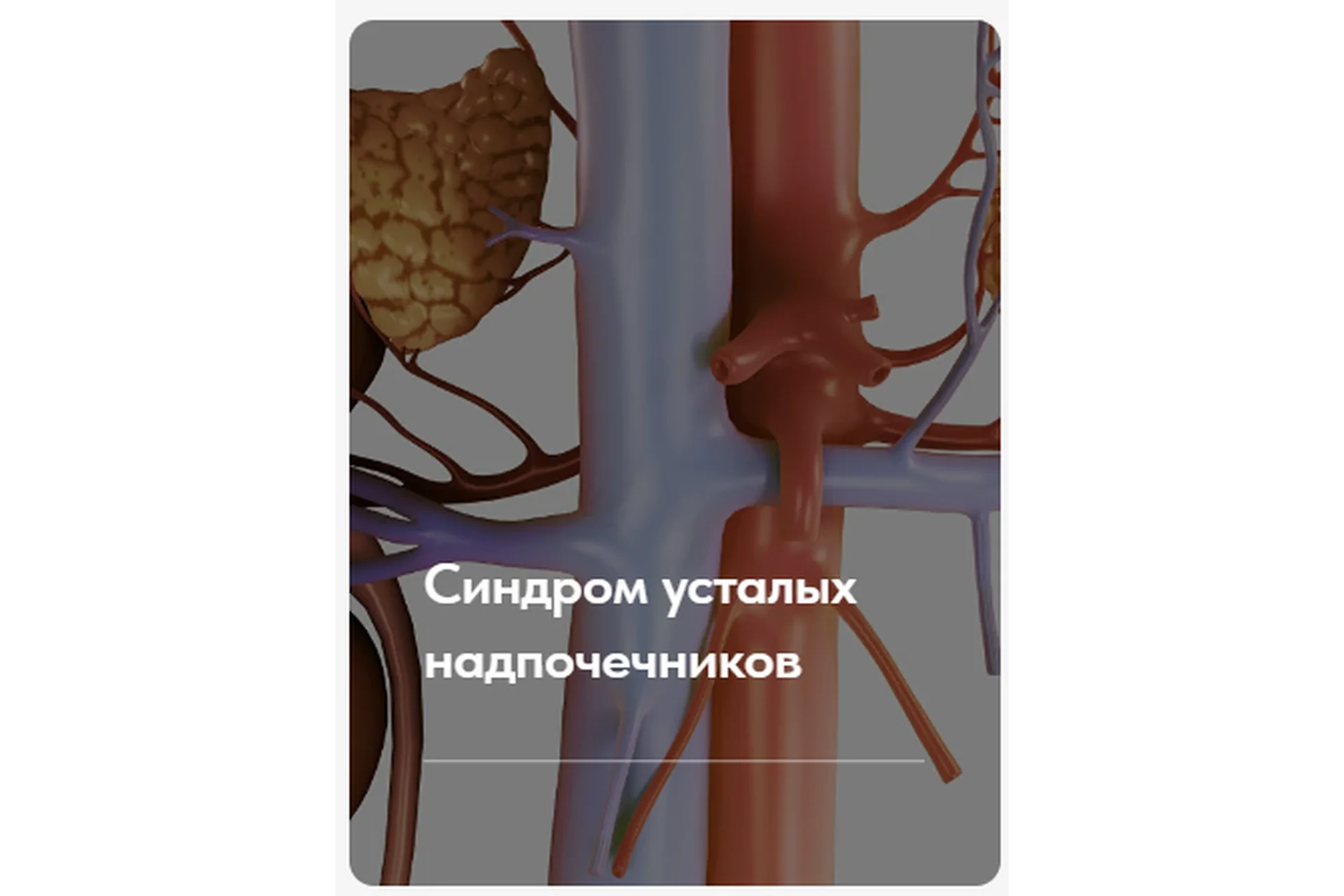 Синдром усталых надпочечников. Тариф без обратной связи (Елена Ержанова), фото 1 из 1.