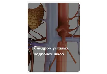 Синдром усталых надпочечников. Тариф без обратной связи (Елена Ержанова)
