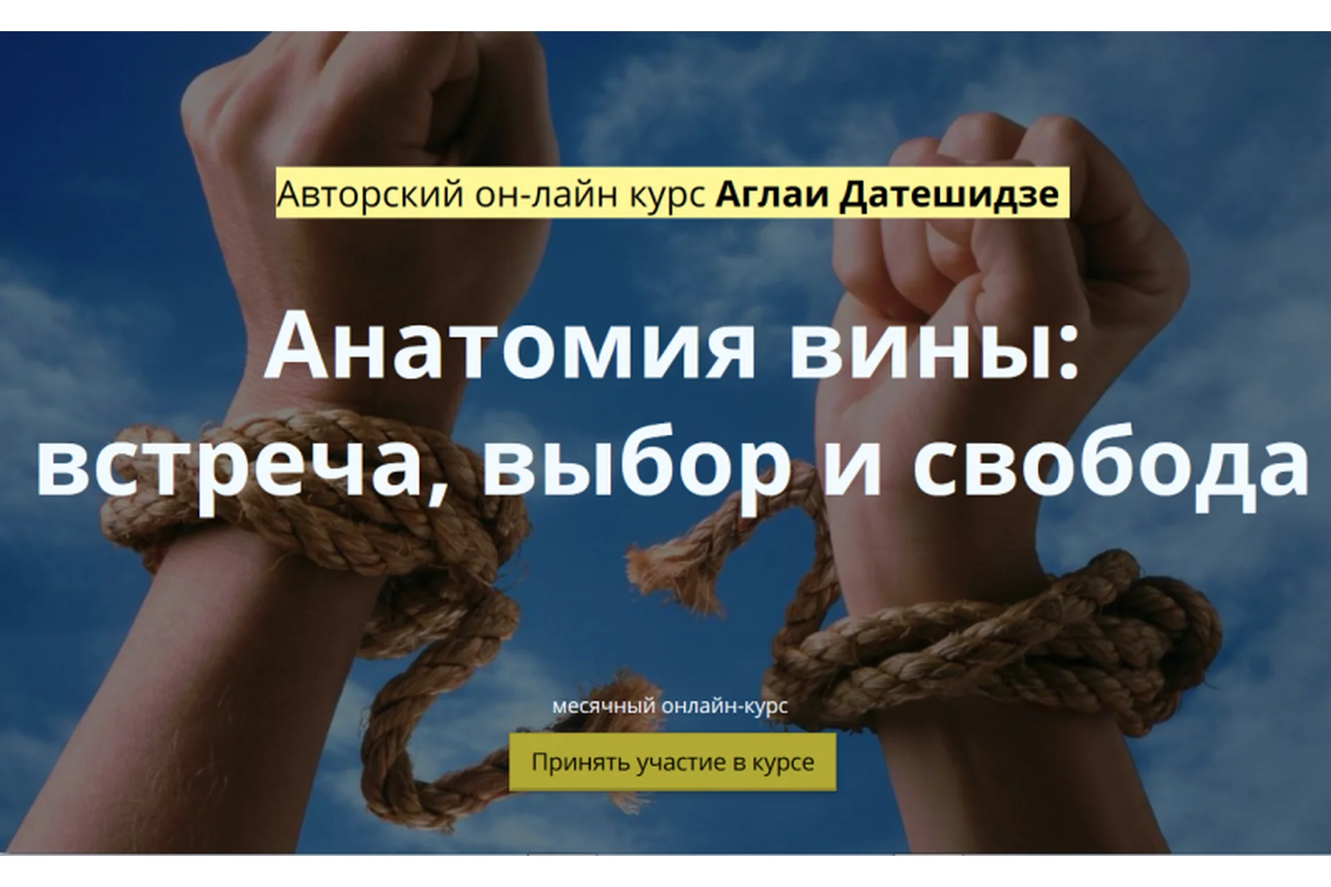 Анатомия вины:  встреча, выбор и свобода (Аглаи Датешидзе), фото 1 из 1.