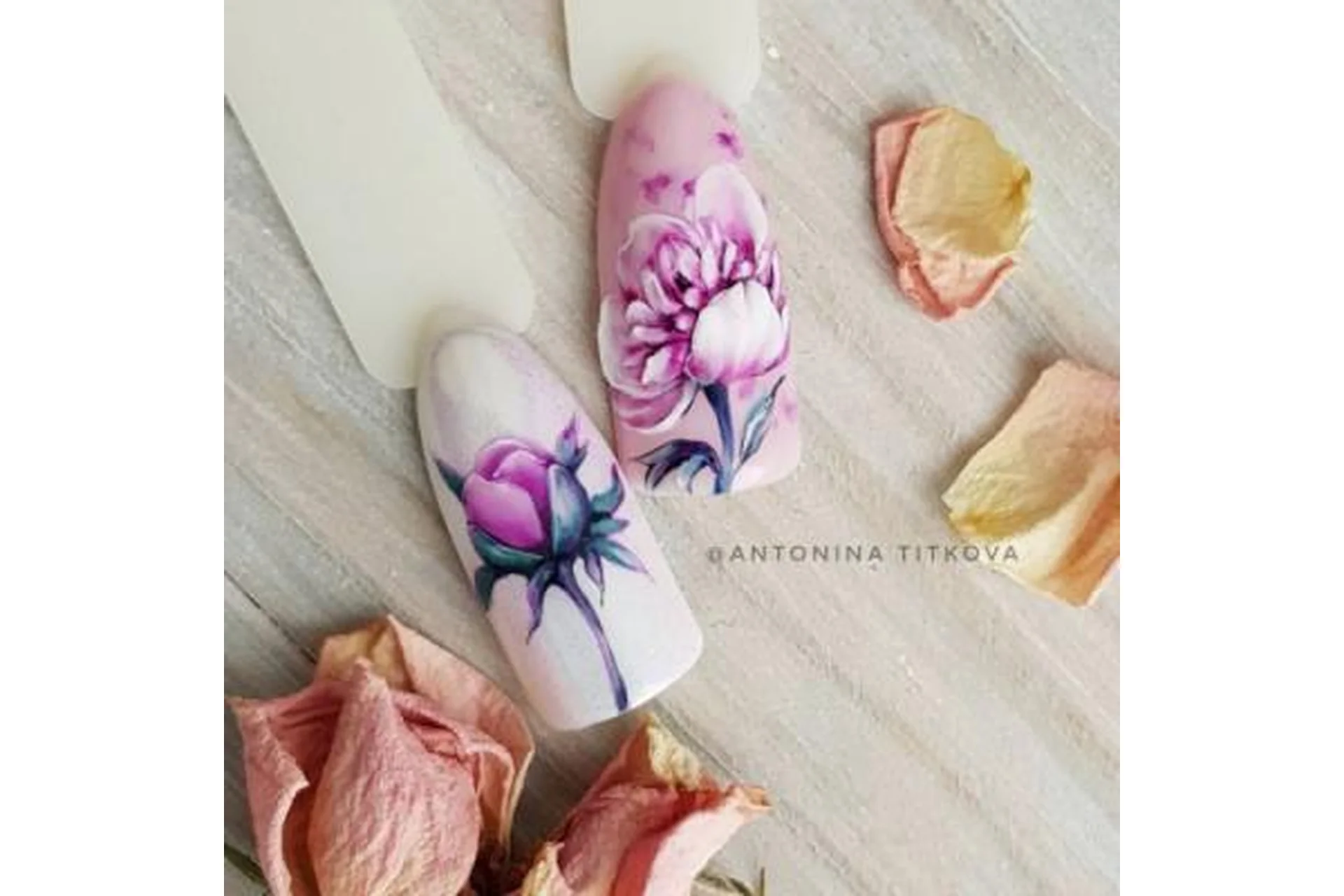 Пионы (Антонина Титкова), фото 1 из 1.