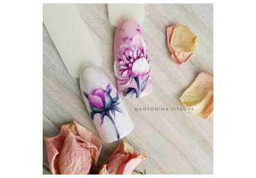 Пионы (Антонина Титкова)