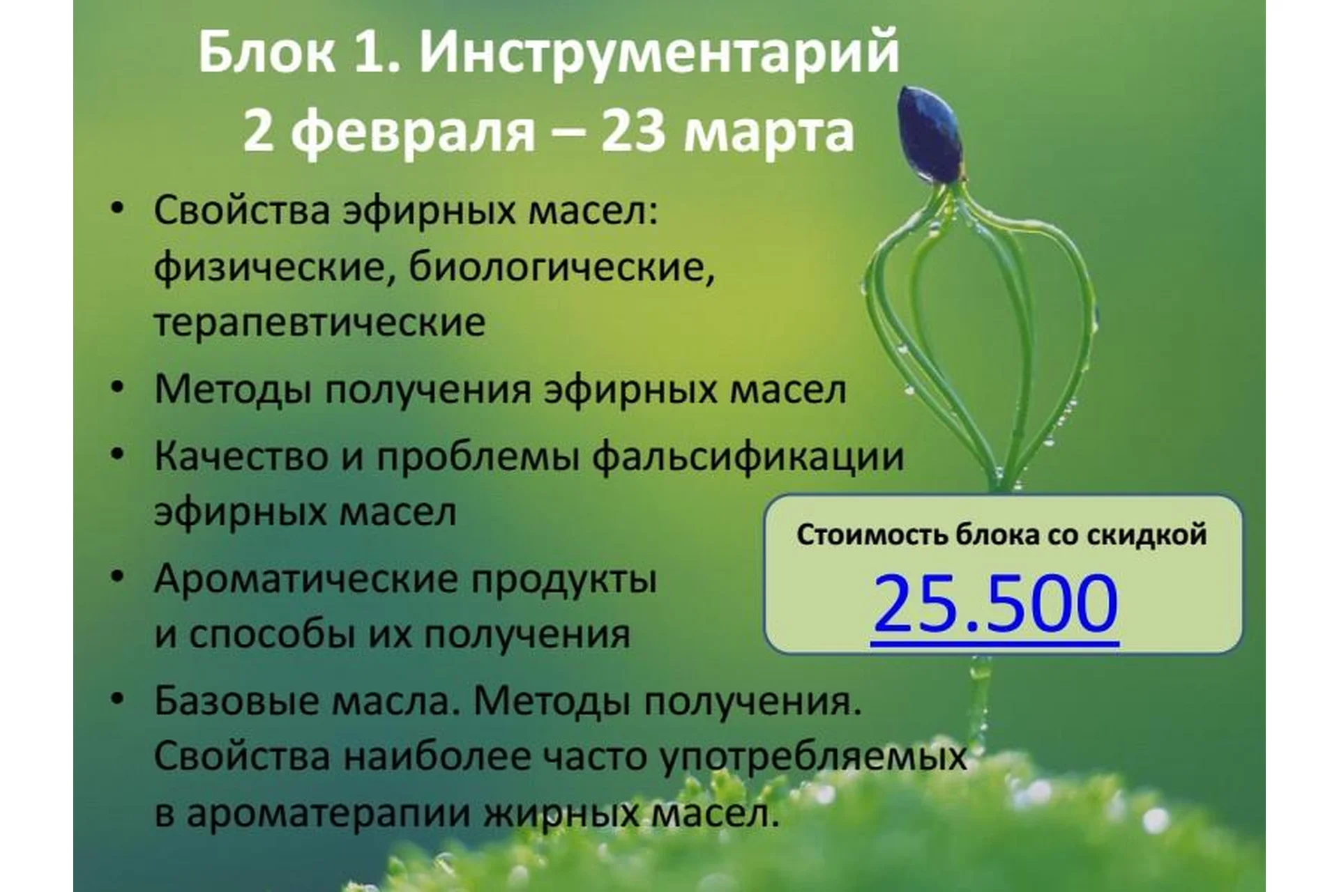 Рождение ароматерапевта или введение в Клиническую ароматерапию. 1 блок (Александра Кожевникова), фото 1 из 1.