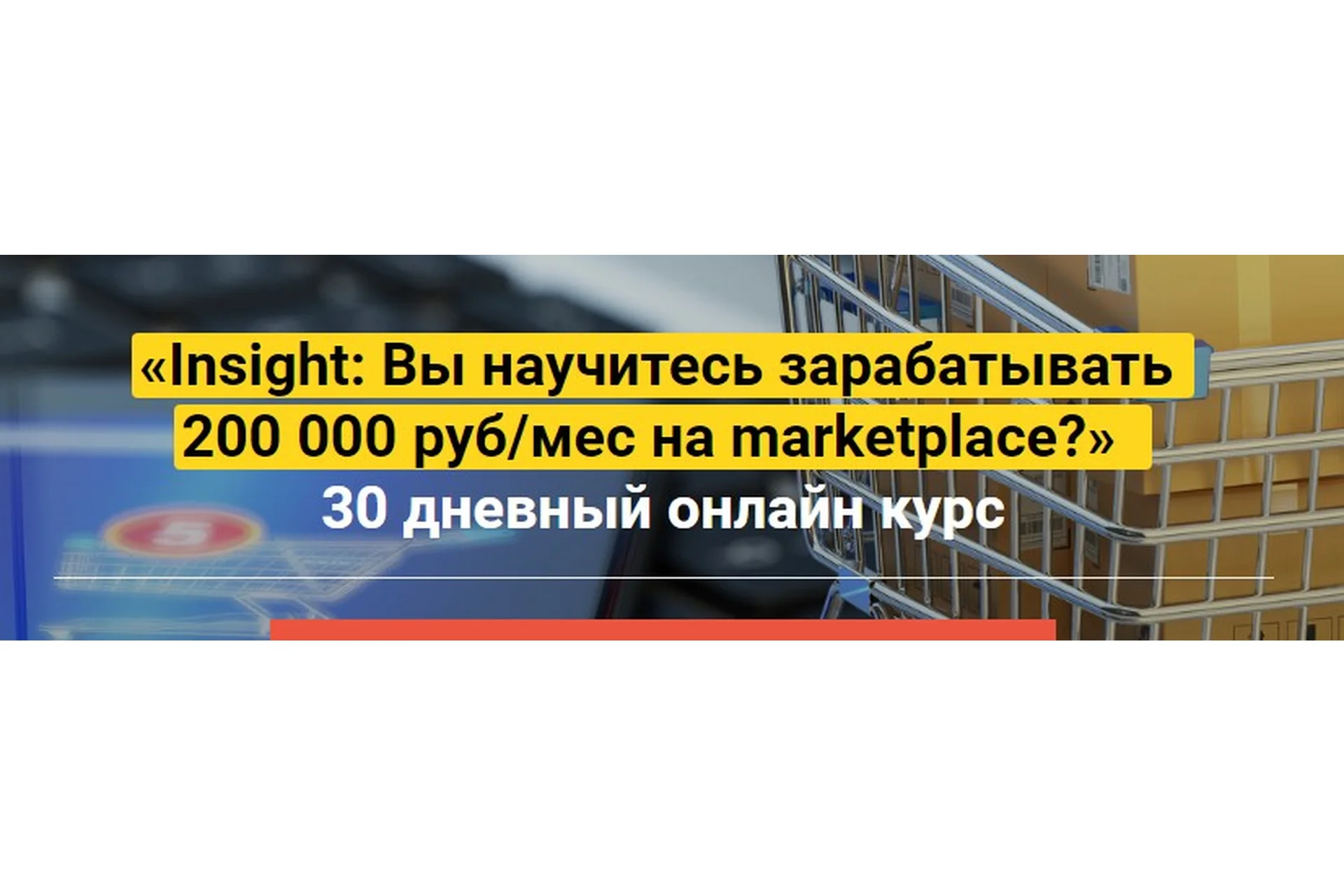 Insight: Вы научитесь зарабатывать 200 000 руб/мес на marketplace, «Стандарт» (Аделия Сабурова), фото 1 из 1.