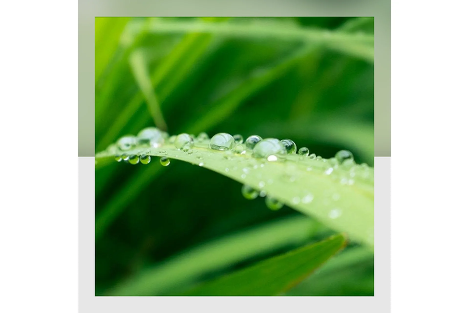 [Mitra-Varuna School] Накшатра Ардра. Глубокий анализ (Анна Ласточкина), фото 1 из 1.