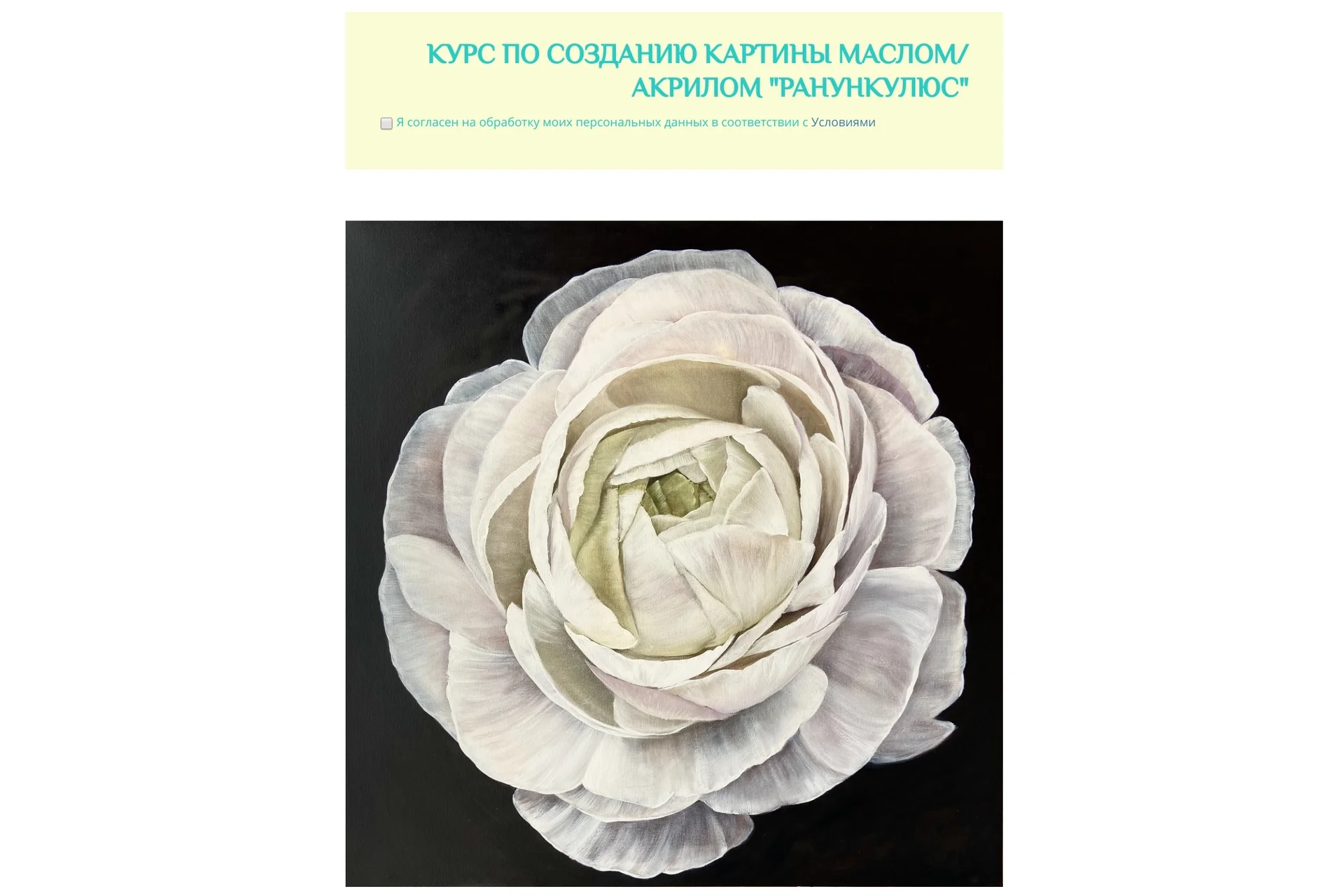 [ozerovaschool] Ранункулюс. Без обратной связи (Александра Озерова), фото 1 из 1.