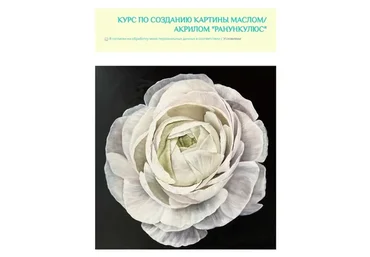 [ozerovaschool] Ранункулюс. Без обратной связи (Александра Озерова)