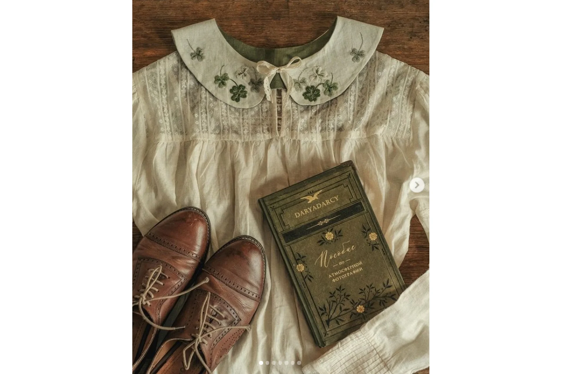 Пособие по атмосферной фотографии (Дарья Левина), фото 1 из 1.