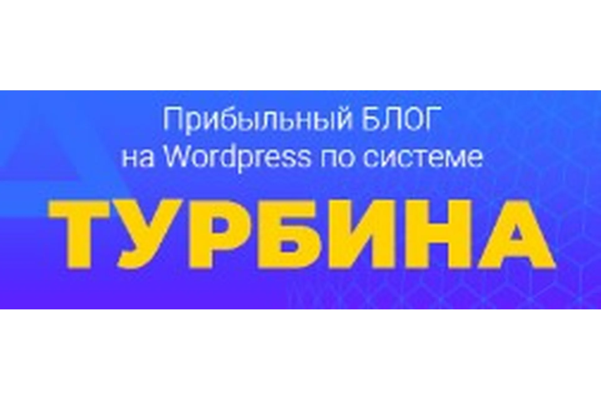 Прибыльный блог на Wordpress по системе «Турбина» (Евгений Попов), фото 1 из 1.