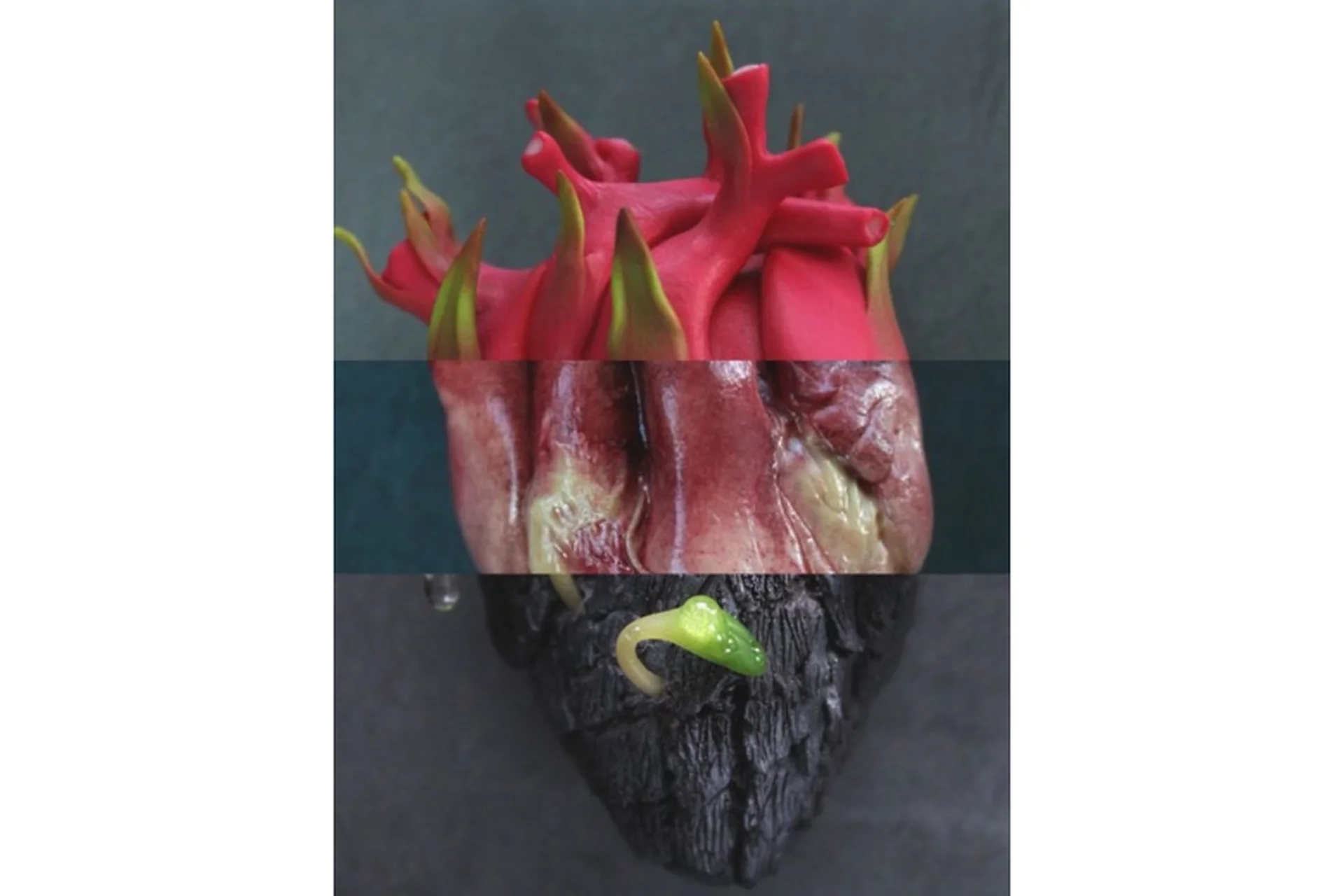 [Insane sanity] Сердце (Эльвина Брестель), фото 1 из 1.