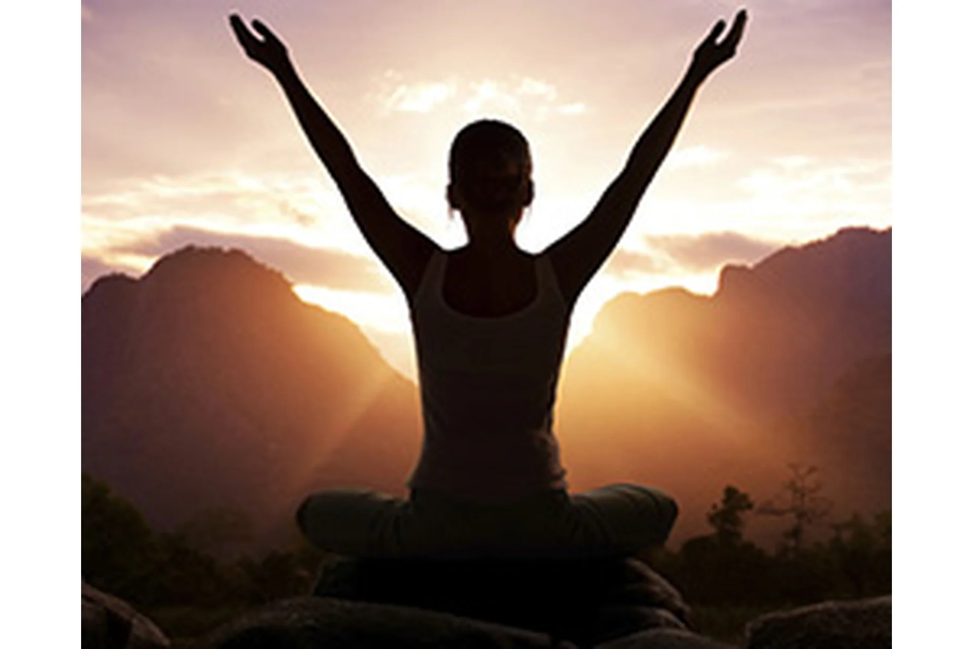 Сила рода (Ольга Веремеева), фото 1 из 1.