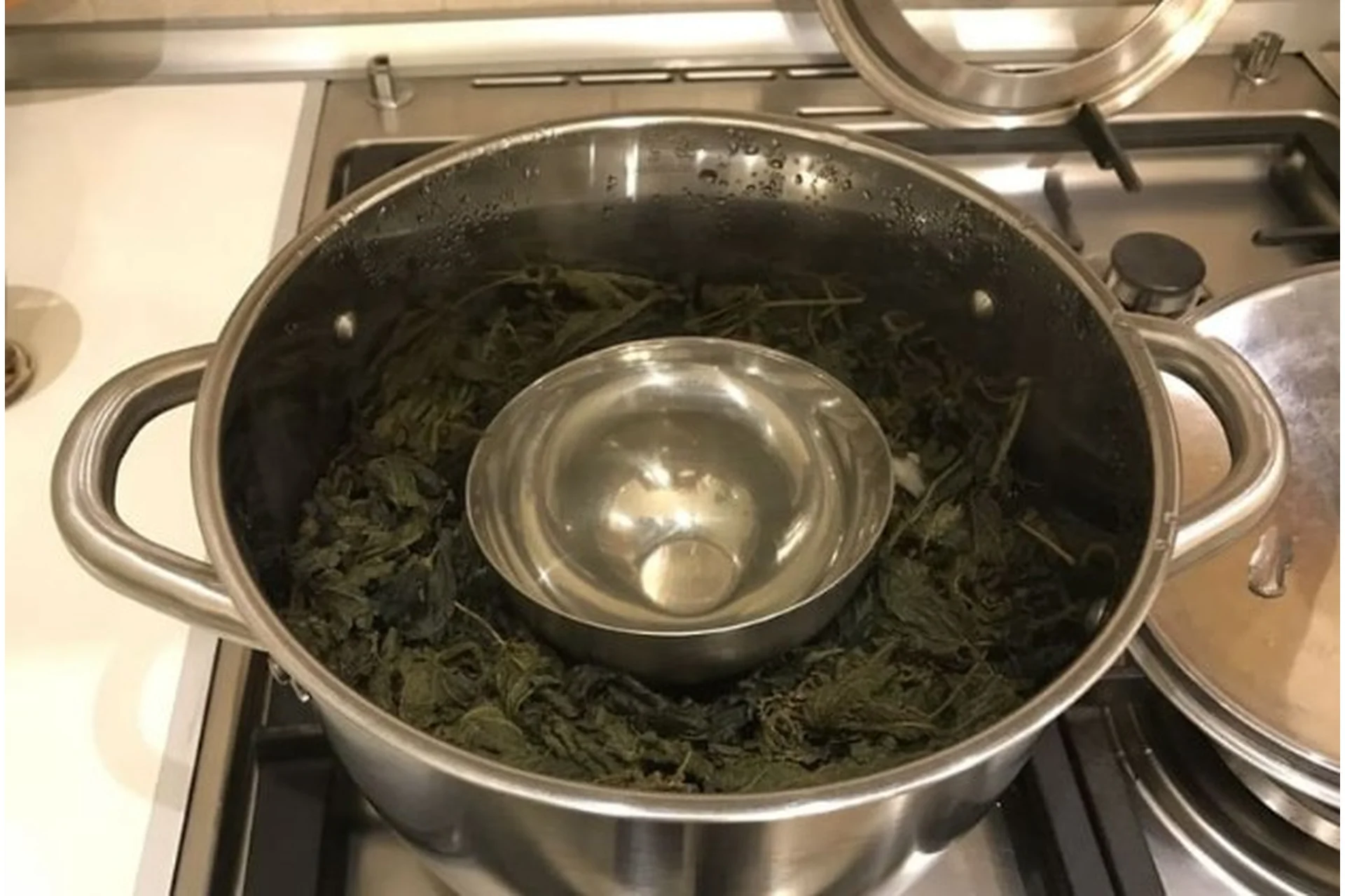 [Центр Шерома] Дистилляция гидролатов в кастрюле в домашних условиях (Ульвия Голденбрук), фото 1 из 1.