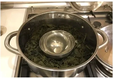 [Центр Шерома] Дистилляция гидролатов в кастрюле в домашних условиях (Ульвия Голденбрук)