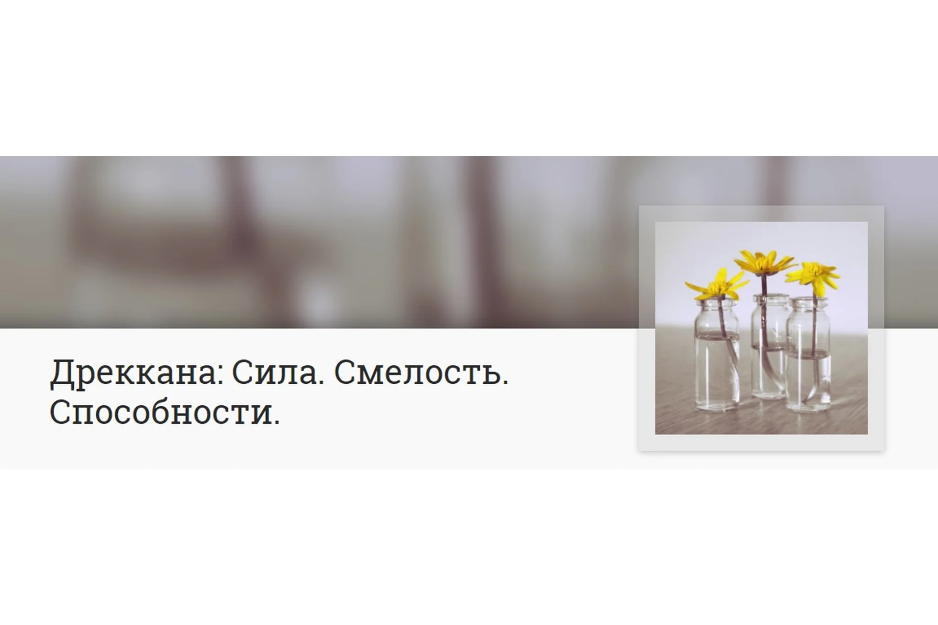 Дреккана: сила, смелость, способности (Анна Ласточкина), фото 1 из 1.