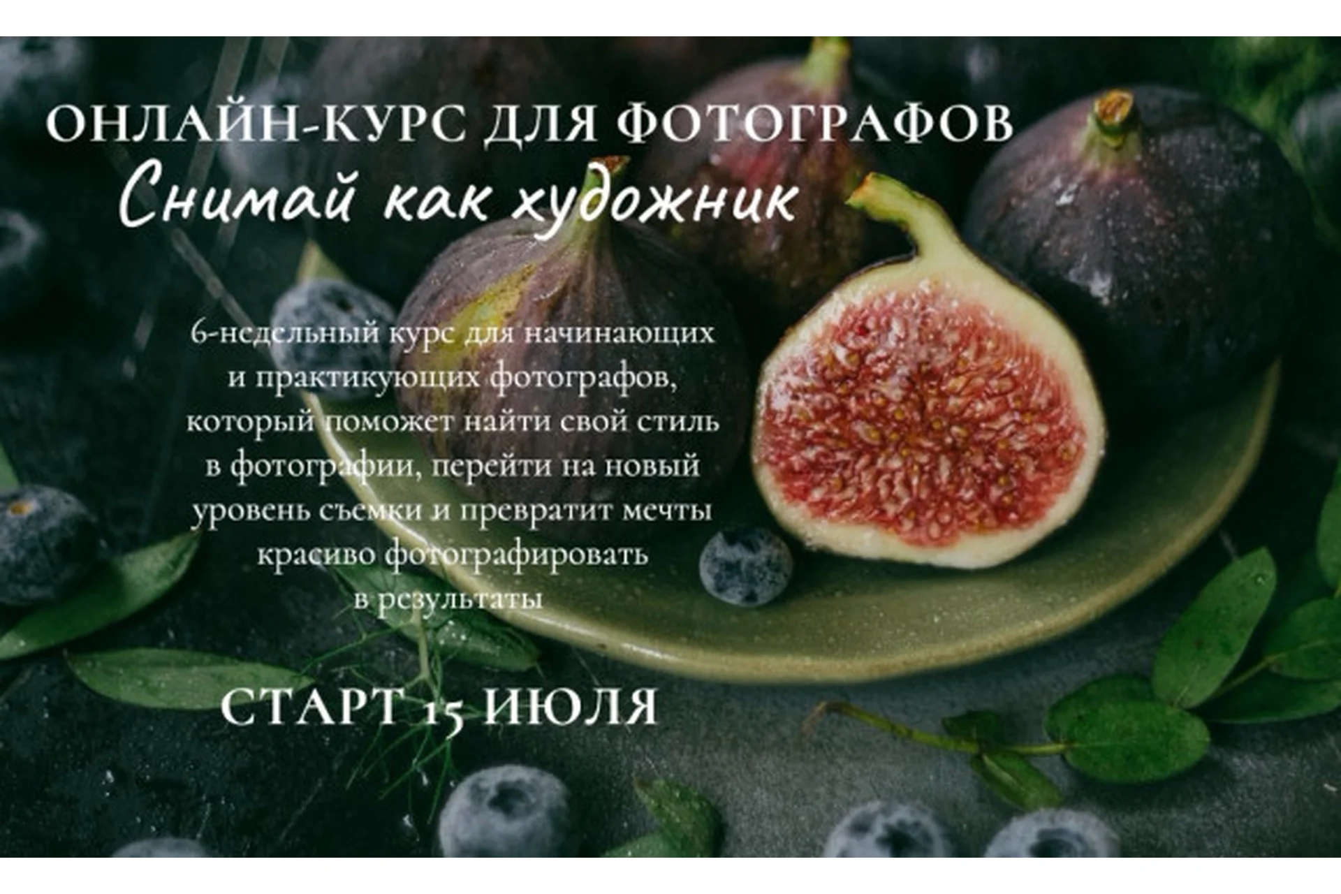 Снимай как художник. Тариф Художник (Анастасия Зубкова), фото 1 из 1.