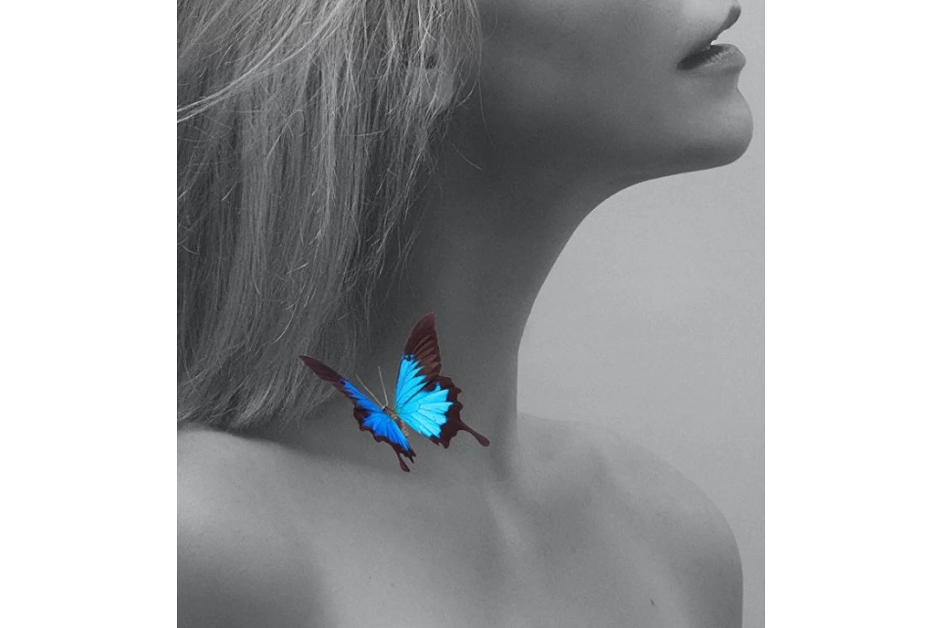 Бабочка на шее (Ола Литвиноф), фото 1 из 1.