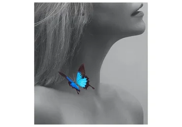 Бабочка на шее (Ола Литвиноф)