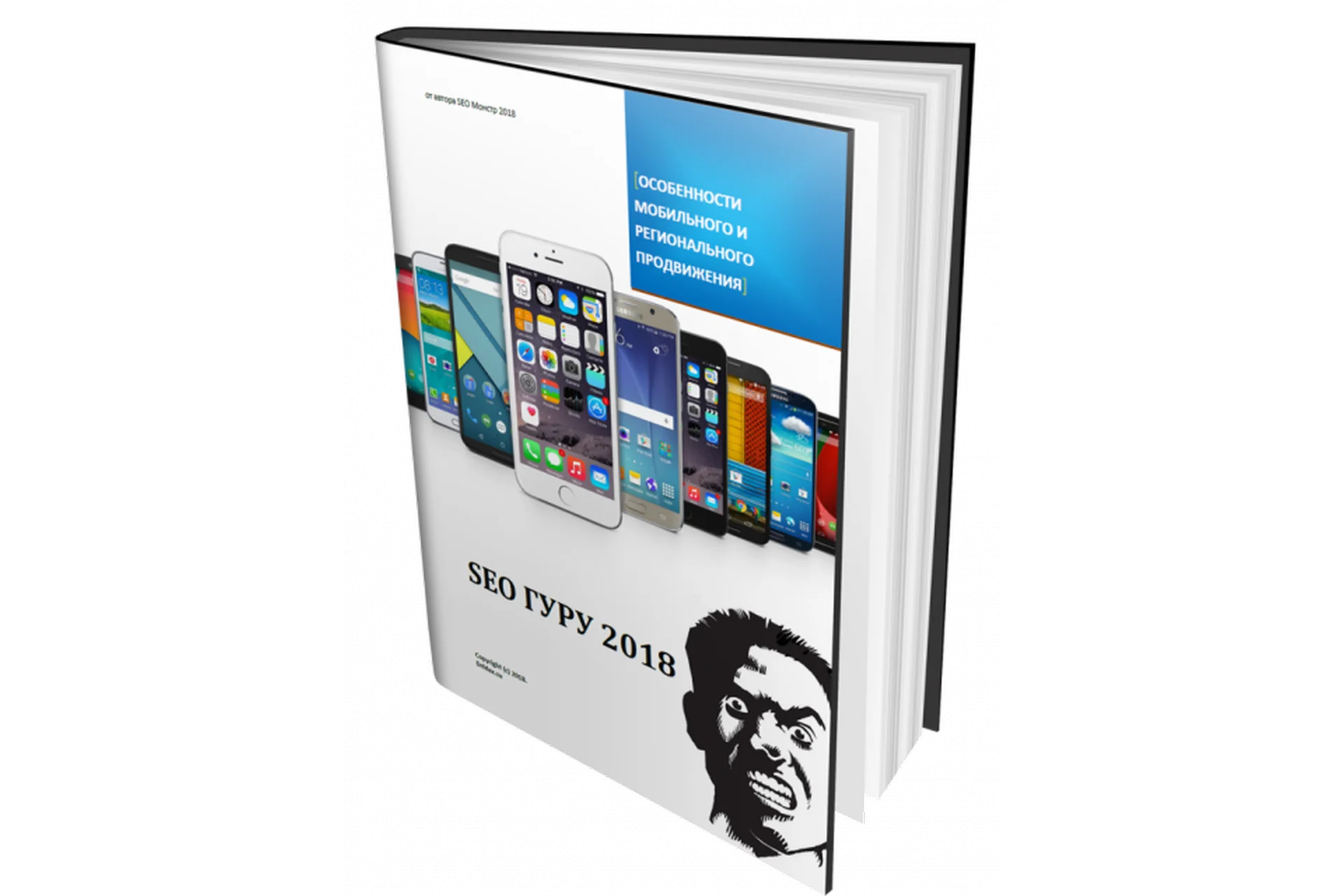 SEO Гуру 2018, фото 1 из 1.