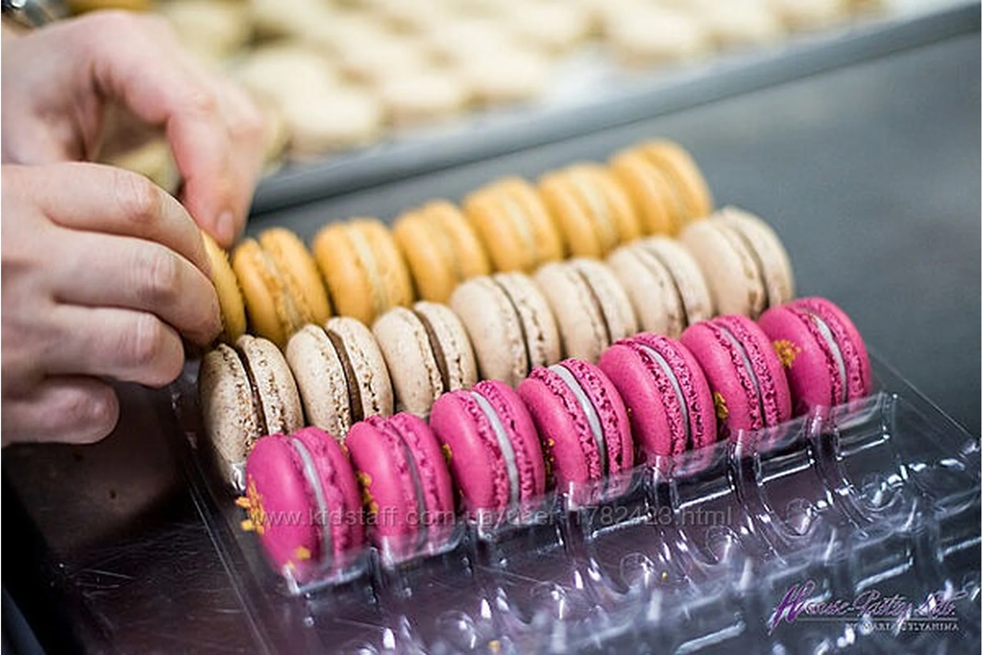 [PastryCampus] Уровень 7. Печенье и макарон (Мария Селянина), фото 1 из 1.