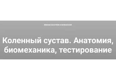 [kinesiocourse] Коленный сустав. Анатомия, биомеханика, тестирование (Михаил Касаткин)