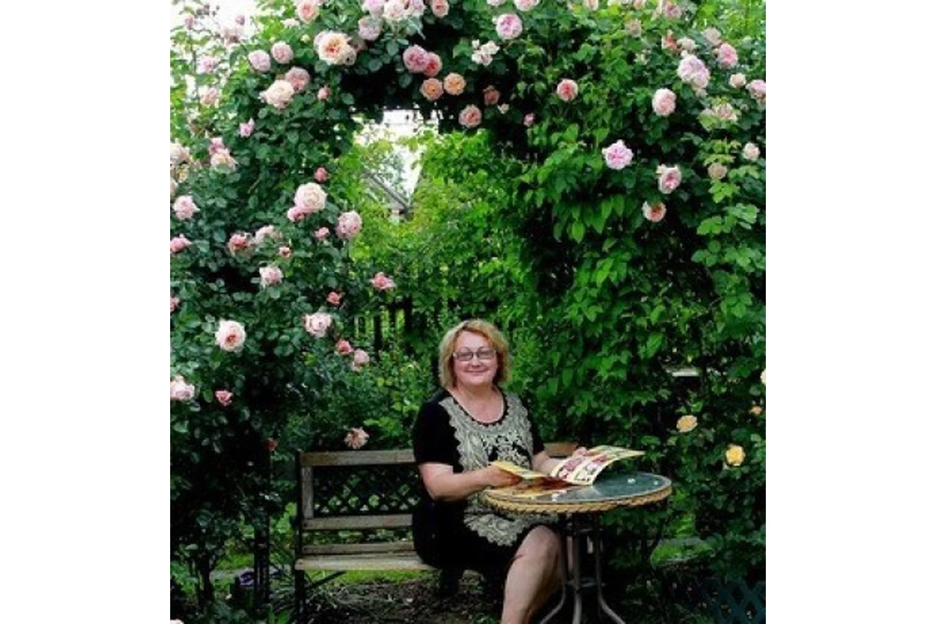 Создание розового сада и уход за розами (Елена Демьянчук), фото 1 из 1.