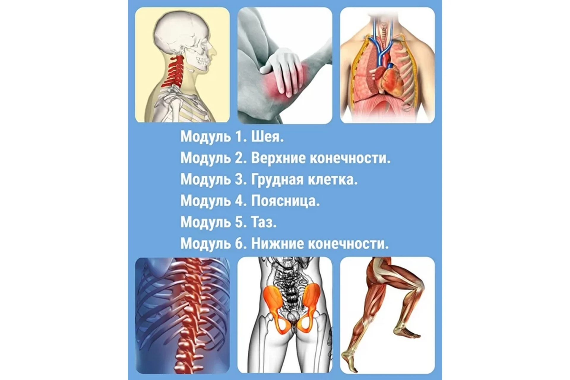 [Школа реабилитолог] Мануальная терапия мышечно-скелетных дисфункций (Олег Агеев), фото 1 из 1.