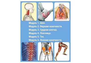 [Школа реабилитолог] Мануальная терапия мышечно-скелетных дисфункций (Олег Агеев)